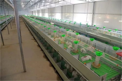 接煙不看牌子，吃飯不擦筷子，通江網紅書記如何用技術開發成為群眾貼心人？