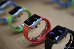 Apple Watch智能手表現(xiàn)場(chǎng)實(shí)拍 三大版本魅力實(shí)窺